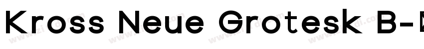 Kross Neue Grotesk B字体转换